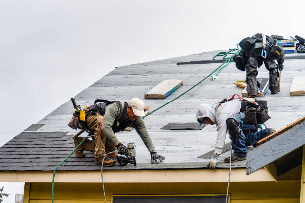 Professional Gutter Installation technician working in Corte Madera, CA