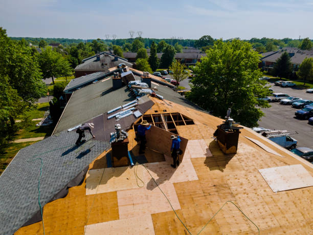 Trusted Roof Replacement service in Corte Madera, CA - Brentwood Metal Roofing